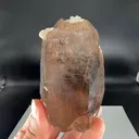 specimen video