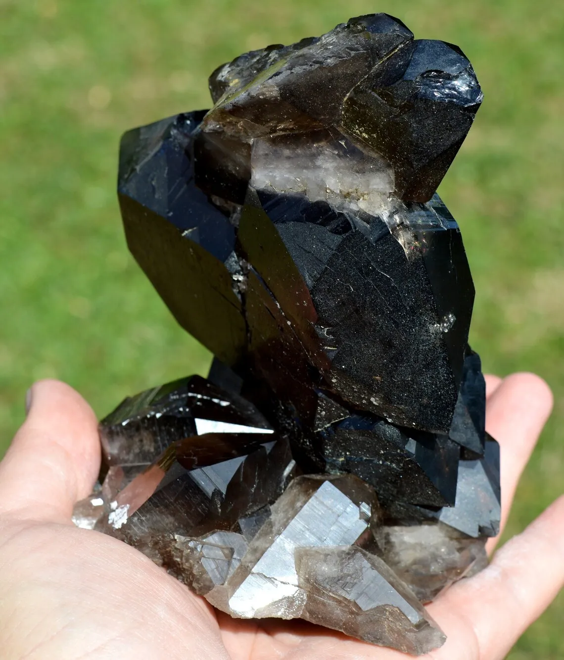 Smoky Quartz 1288 grams - Mont Blanc Massif, Auvergne-Rhône-Alpes, France - image 6