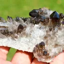 Smoky Quartz 262 grams - Mt Ida, Montgomery County, Arkansas, USA - image 2