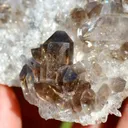 Smoky Quartz 262 grams - Mt Ida, Montgomery County, Arkansas, USA - image 3