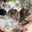 Smoky Quartz 262 grams - Mt Ida, Montgomery County, Arkansas, USA - image 6