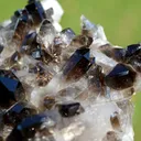 Smoky Quartz 265 grams - Mt Ida, Montgomery County, Arkansas, USA - image 4