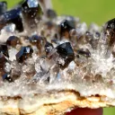 Smoky Quartz 301 gram - Mt Ida, Montgomery County, Arkansas, USA - image 4