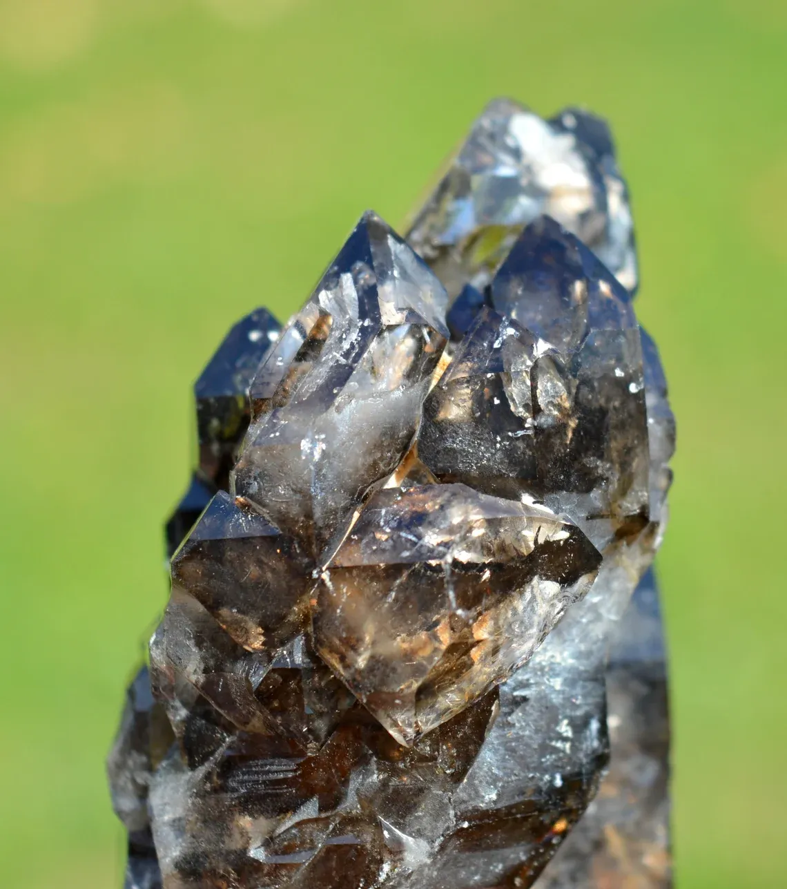 Smoky Quartz 600 grams - Linópolis, Divino das Laranjeiras, Minas Gerais, Brazil - image 7