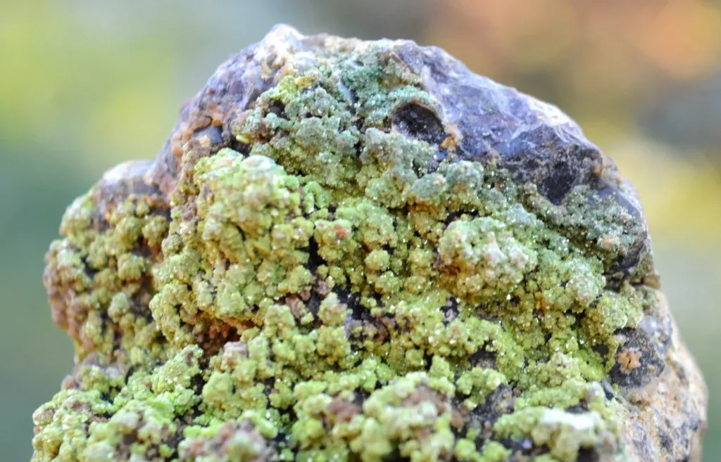 Smoky Quartz & Autunite 785 grams - Kerségalec, Lignol, Pontivy, Morbihan, France - image 6
