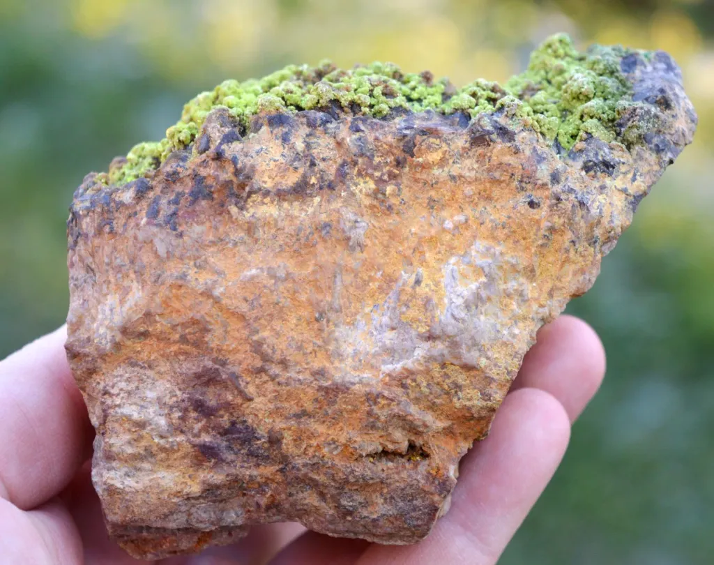 Smoky Quartz & Autunite 785 grams - Kerségalec, Lignol, Pontivy, Morbihan, France - image 8