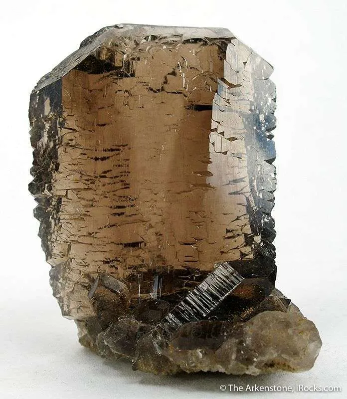 Smoky Quartz (Closed Gwindel) on Quartz image