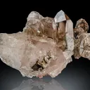 Smoky Quartz cluster - Talèfre, Mont-Blanc, French Alps - image 2