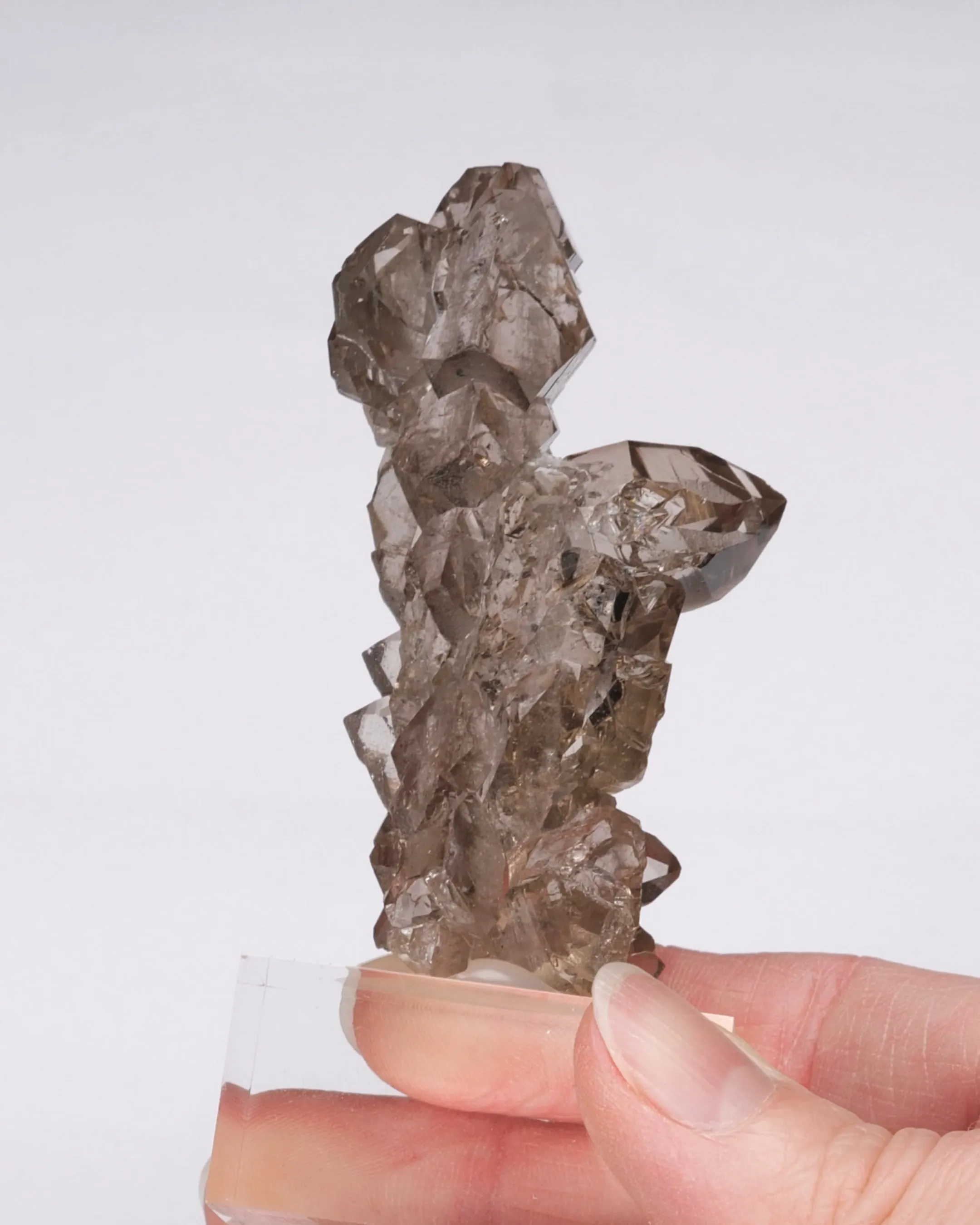 Smoky Quartz FADEN - image 2