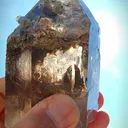 specimen video