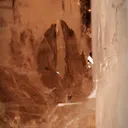 specimen video