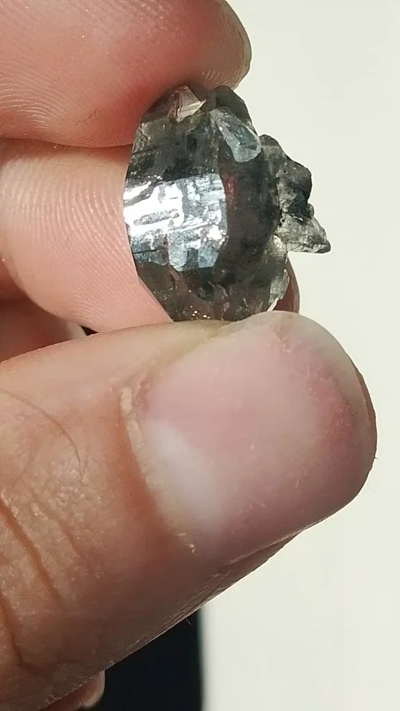 specimen video