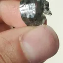specimen video