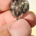 Smoky quartz from Gilgit, Gilgit District, Gilgit-Baltistan, Pakistan - image 6