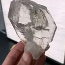 specimen video