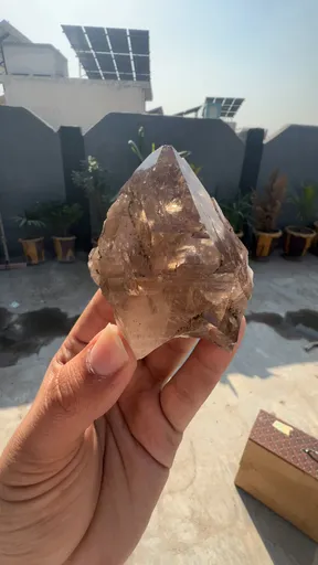 specimen video