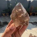 specimen video