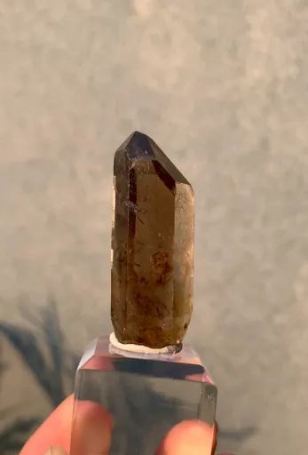 specimen video