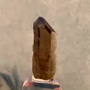 specimen video