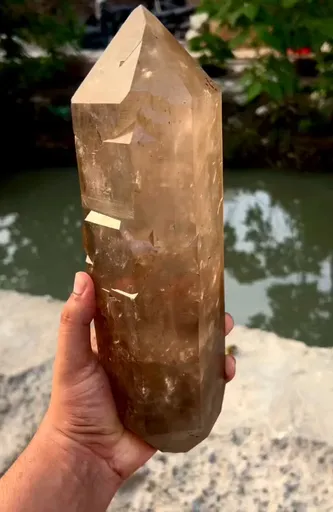 specimen video
