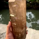 specimen video