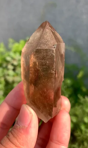 specimen video