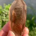 specimen video