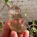 specimen video