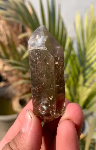 specimen video