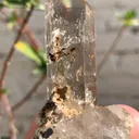 Smoky quartz from Pakistan - image 1