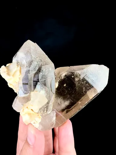 specimen video