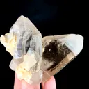 specimen video