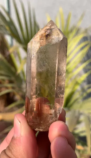 specimen video