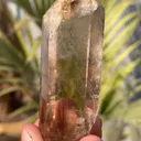 specimen video