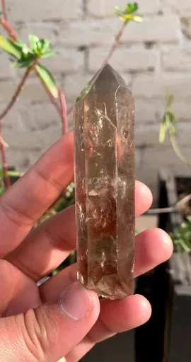 specimen video