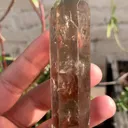 specimen video