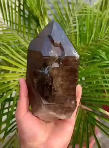 specimen video