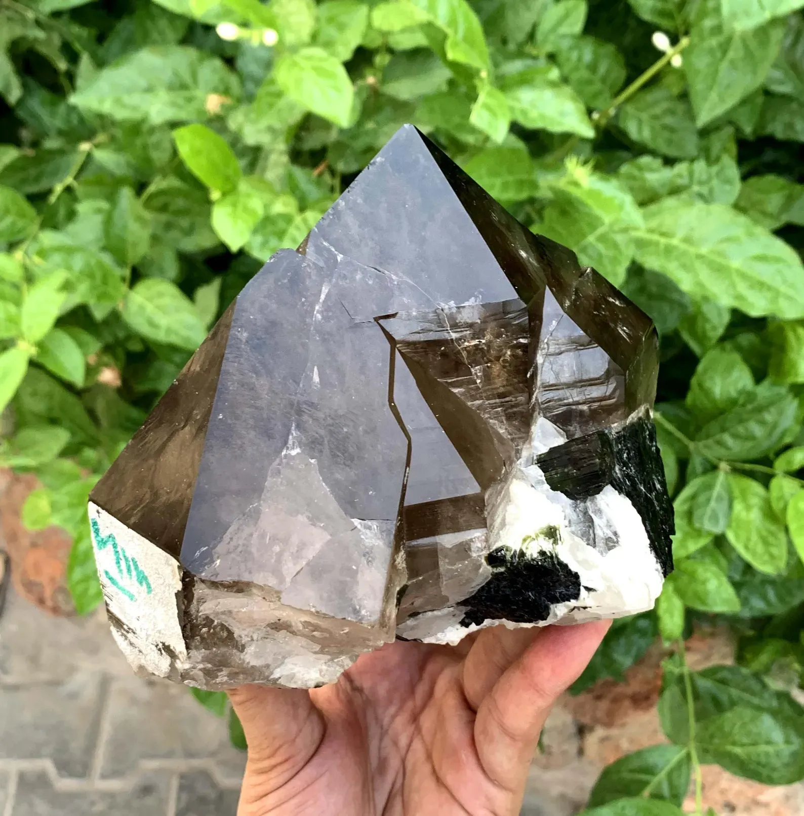 Smoky quartz from Pakistan - image 2