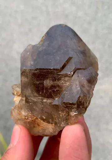 specimen video