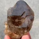 specimen video