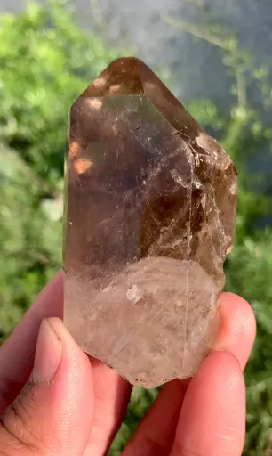 specimen video