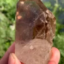 specimen video