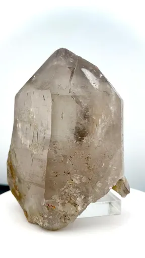 specimen video