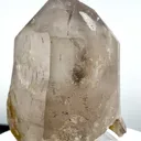 specimen video