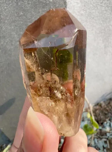 specimen video