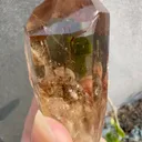 specimen video