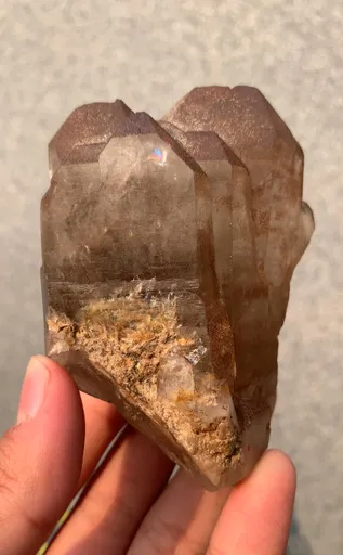 specimen video