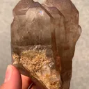 specimen video