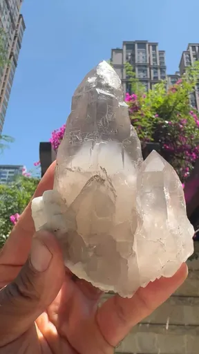 specimen video