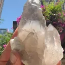 specimen video